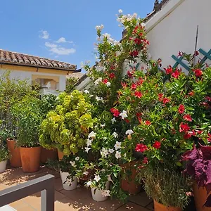  Apartment Descalzos Angel With Private Terrace Free Parking