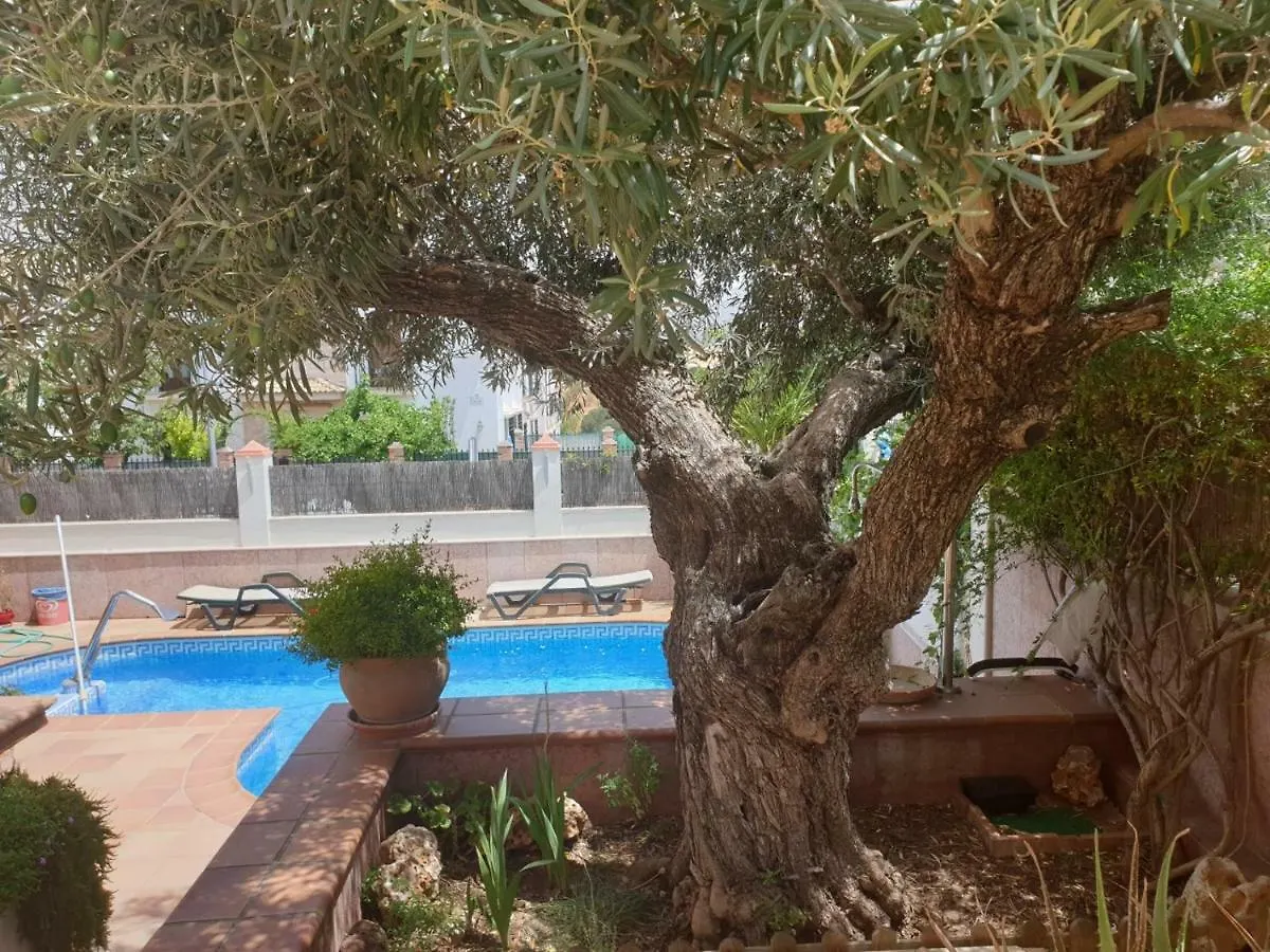 Homestay Alojamiento El Olivo Ronda Spain
