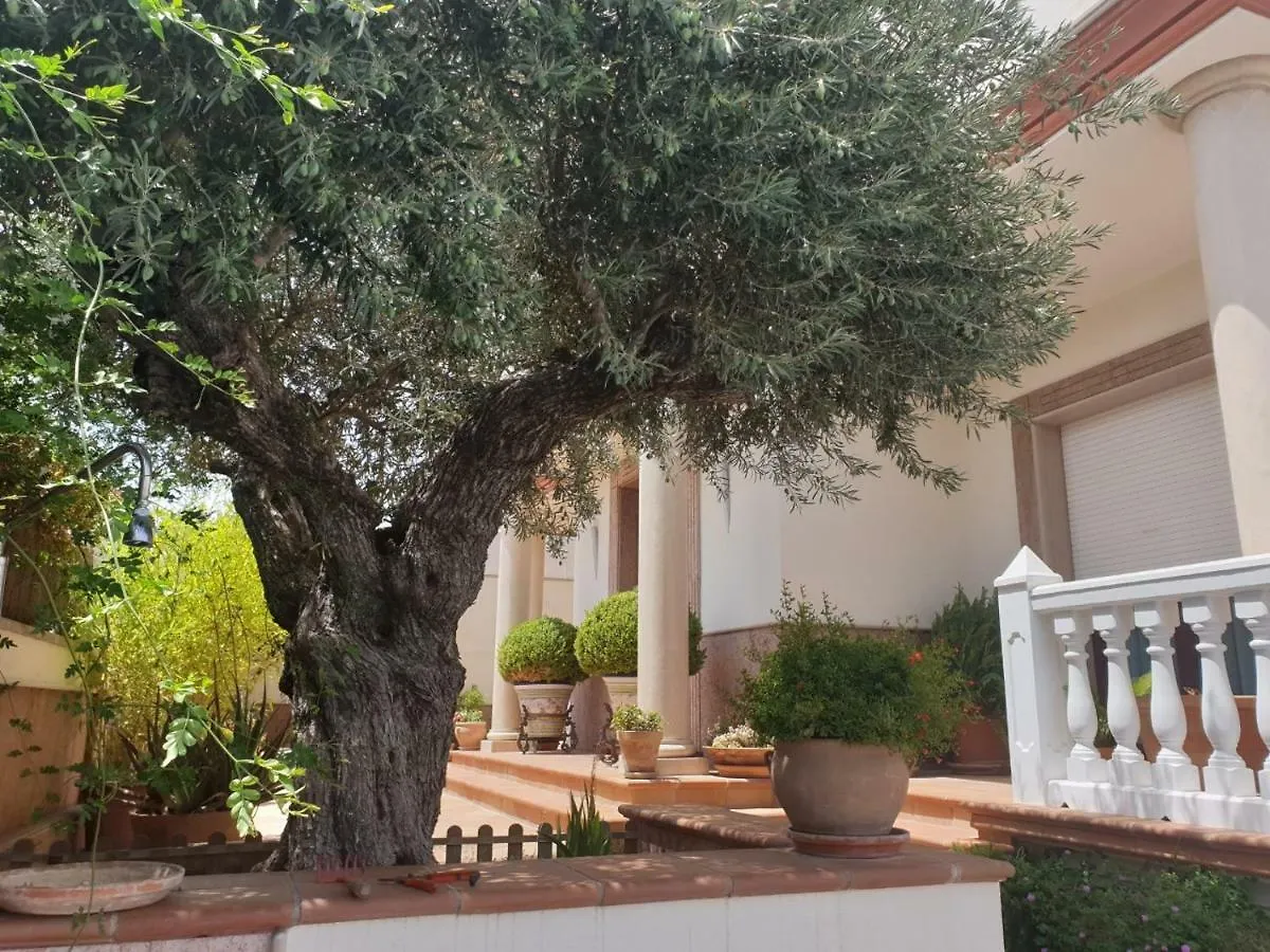 Alojamiento El Olivo Ronda Homestay szállás
